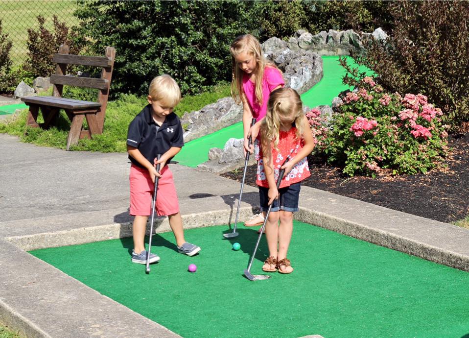 Three young children play miniature golf on a green course, concentrating on putting their colored balls. Flowers and shrubs border the course, and a wooden bench sits nearby on a sunny day.