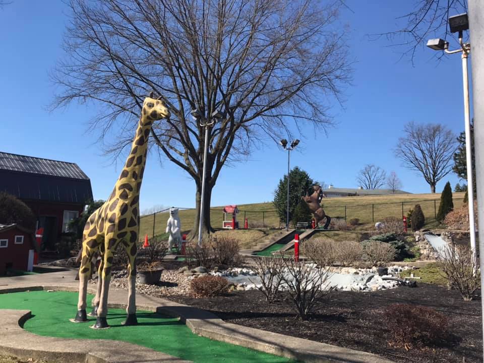 A mini golf course features a large giraffe statue in the foreground, a cow and gorilla statue in the background, leafless trees, and a clear blue sky on a sunny day.